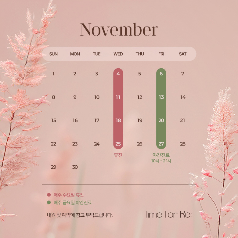 11월 진료일정
